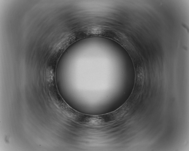 X0000102870555200808251244