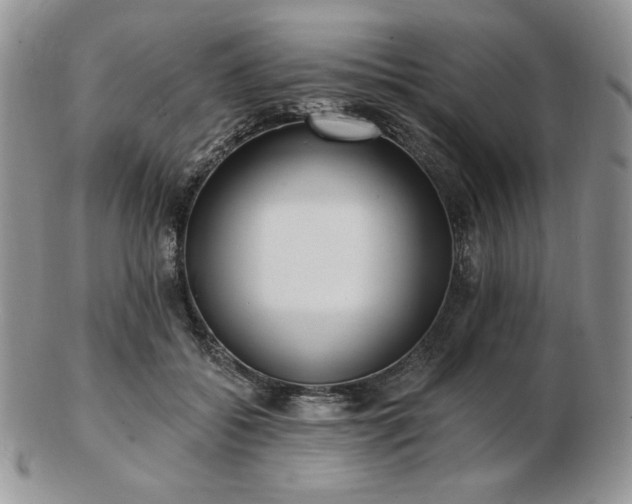 X0000102870556200808251244