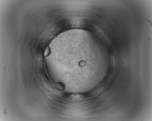 X0000102870557200808251244