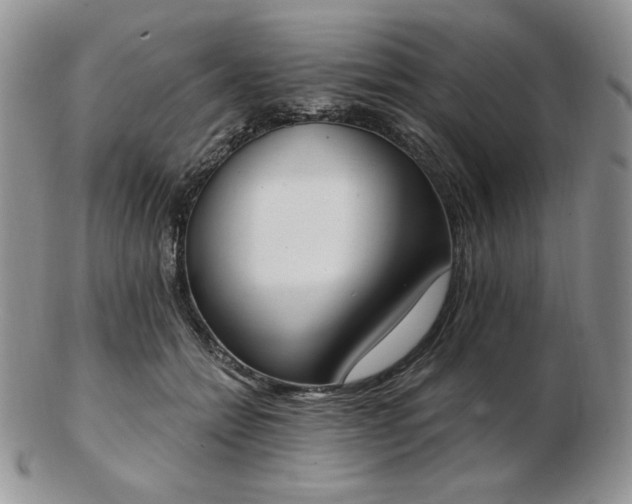 X0000102870558200808251244