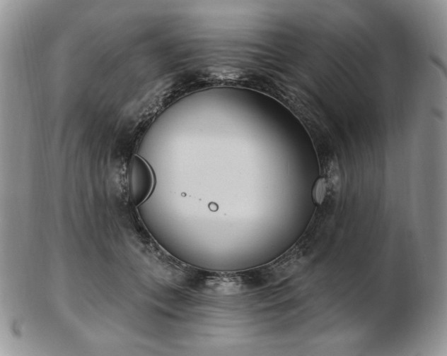 X0000102870559200808251244