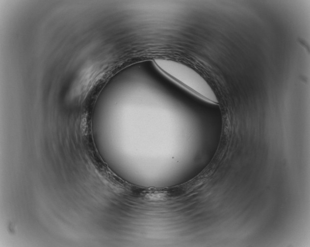 X0000102870560200808251244