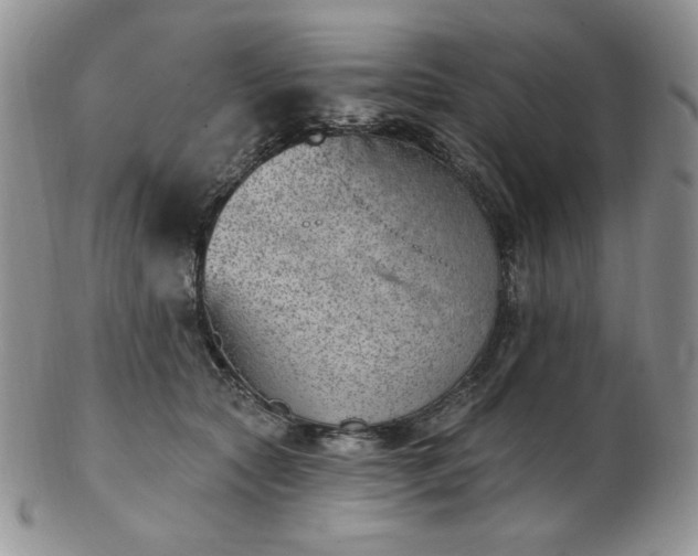 X0000102870561200808251244