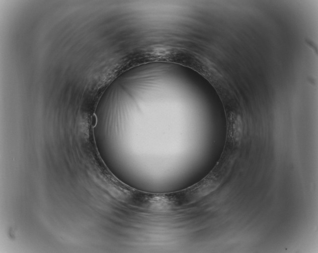 X0000102870562200808251244