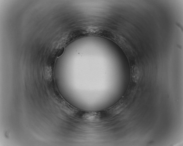 X0000102870563200808251244