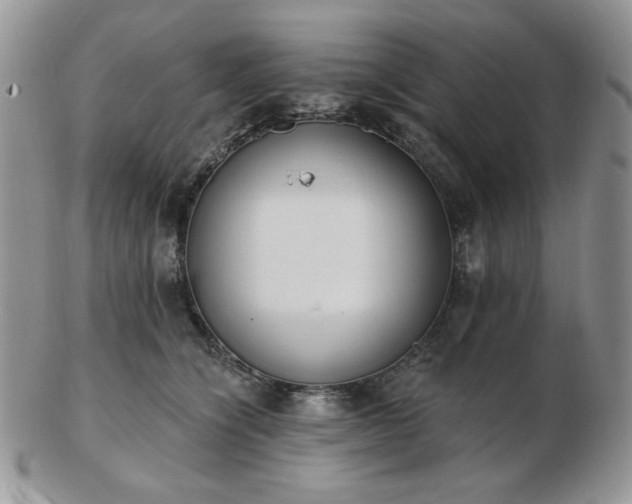 X0000102870564200808251244