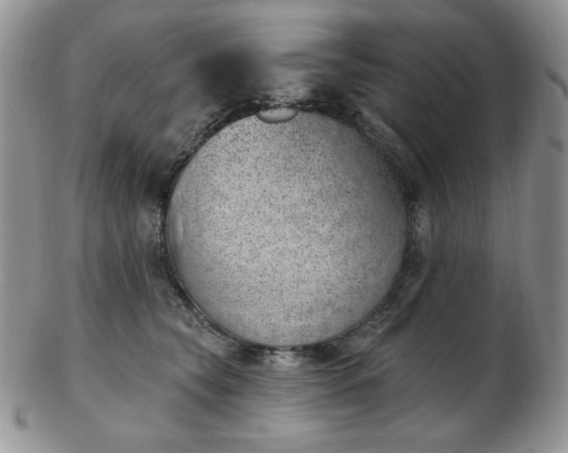 X0000102870565200808251244