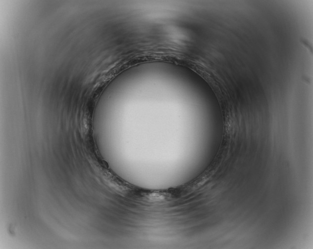 X0000102870566200808251244