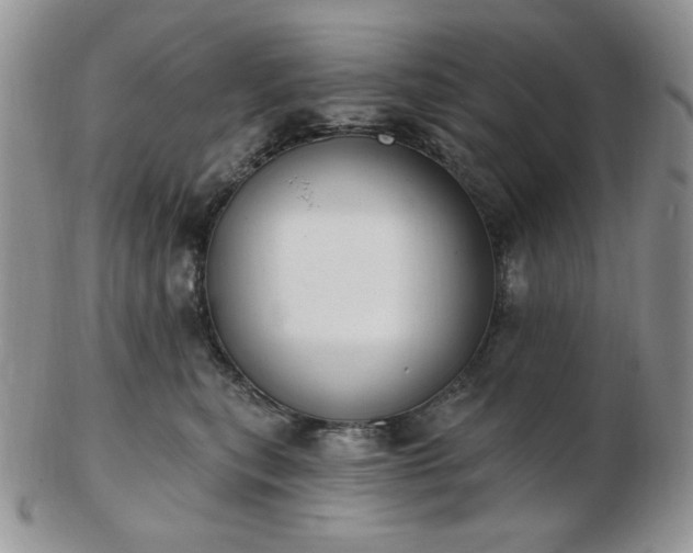 X0000102870567200808251244