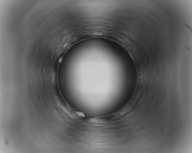 X0000102870568200808251244