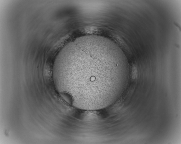 X0000102870569200808251244