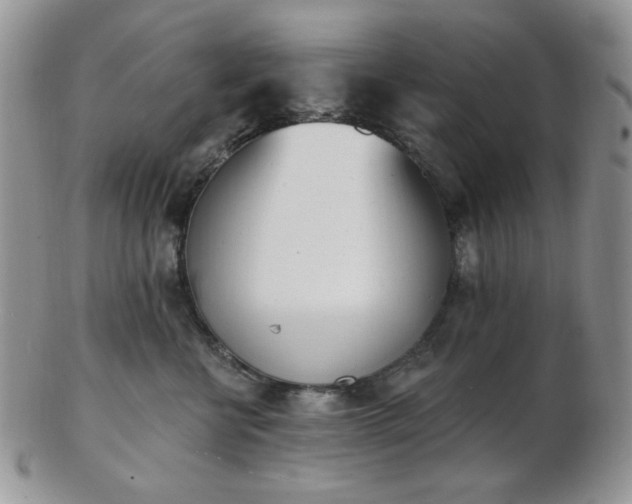 X0000102870570200808251244