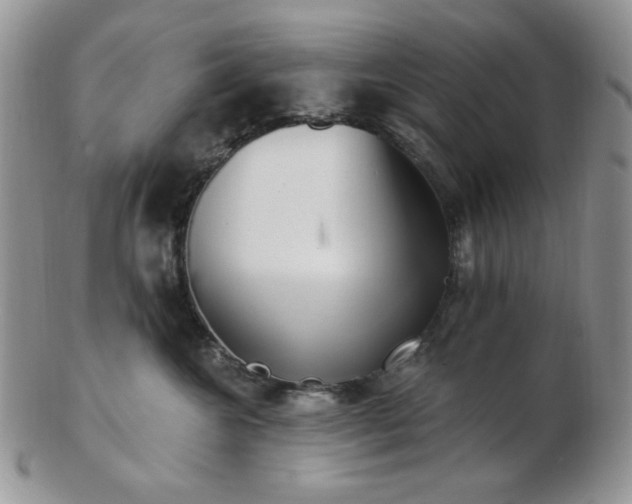 X0000102870572200808251244