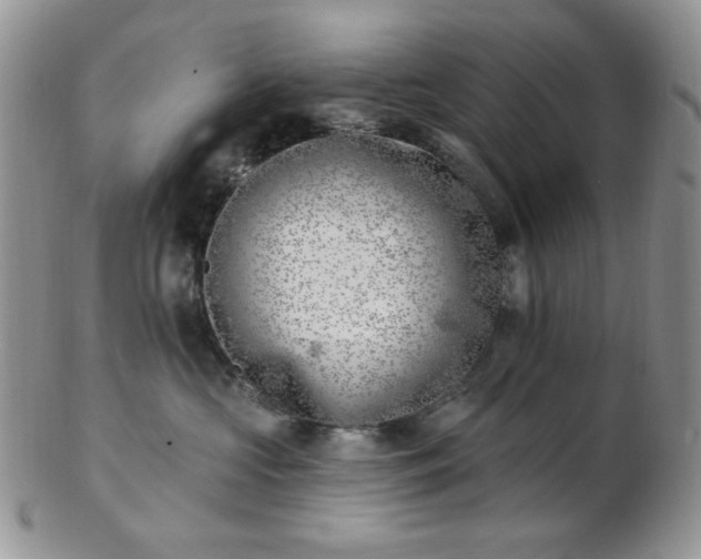 X0000102870573200808251244