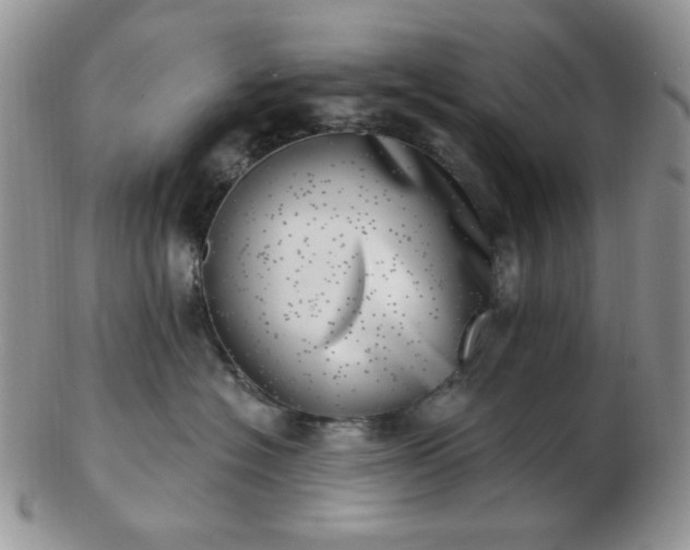 X0000102870574200808251244