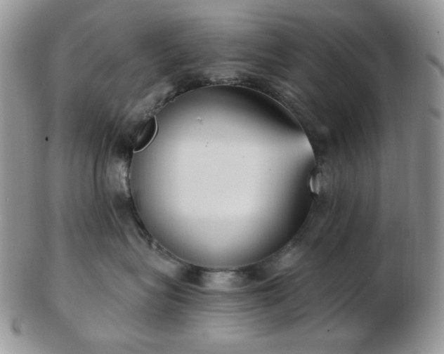 X0000102870575200808251244