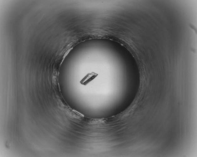 X0000102870576200808251244