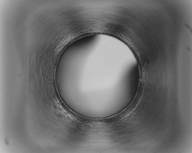 X0000102870577200808251243