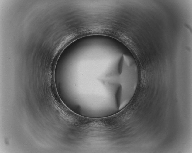 X0000102870578200808251243