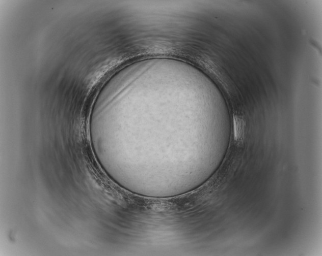 X0000102870579200808251243