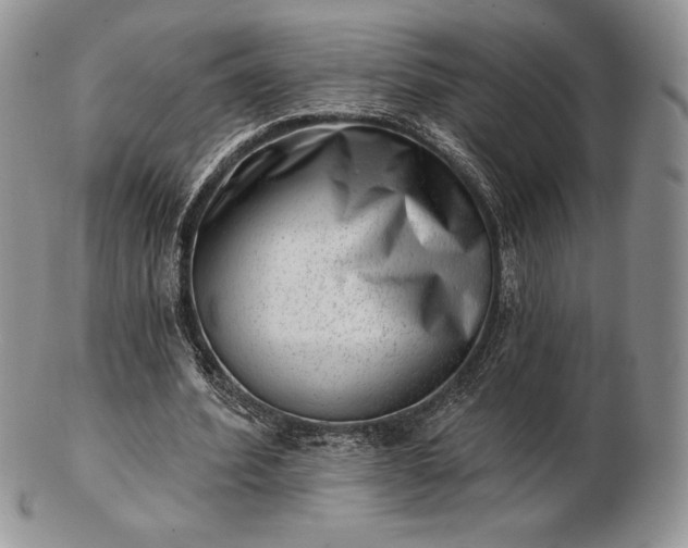 X0000102870580200808251243