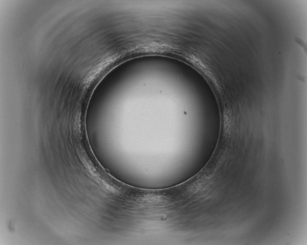 X0000102870581200808251243