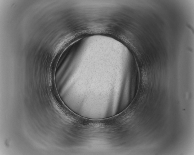 X0000102870582200808251243