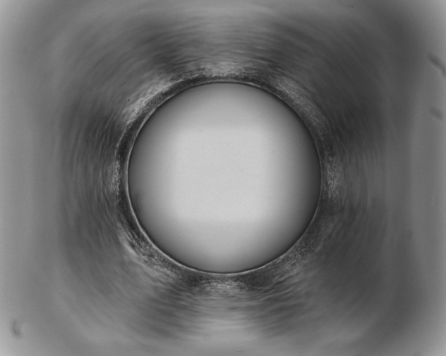 X0000102870583200808251243