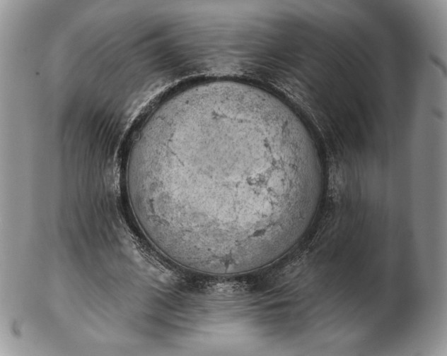 X0000102870584200808251243