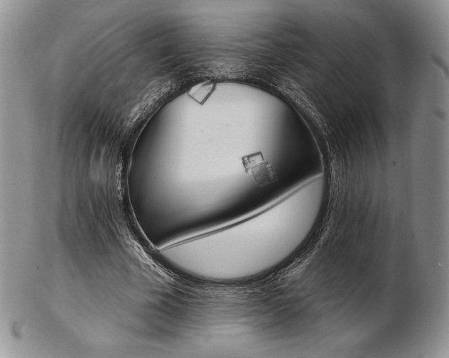 X0000102870585200808251243