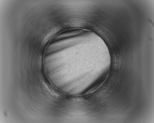 X0000102870586200808251243