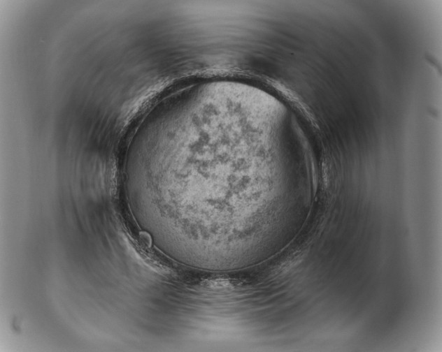 X0000102870588200808251243