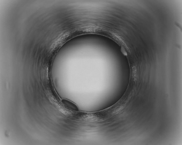 X0000102870589200808251243