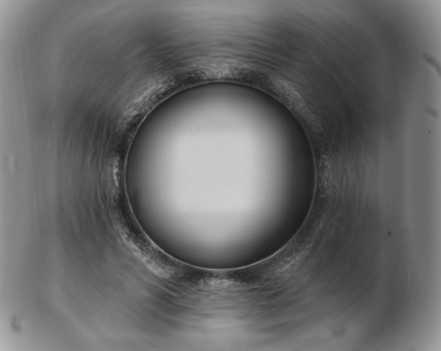 X0000102870590200808251243