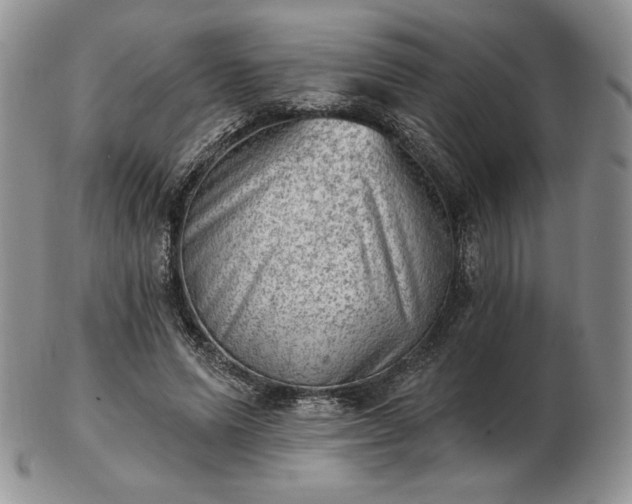 X0000102870591200808251243