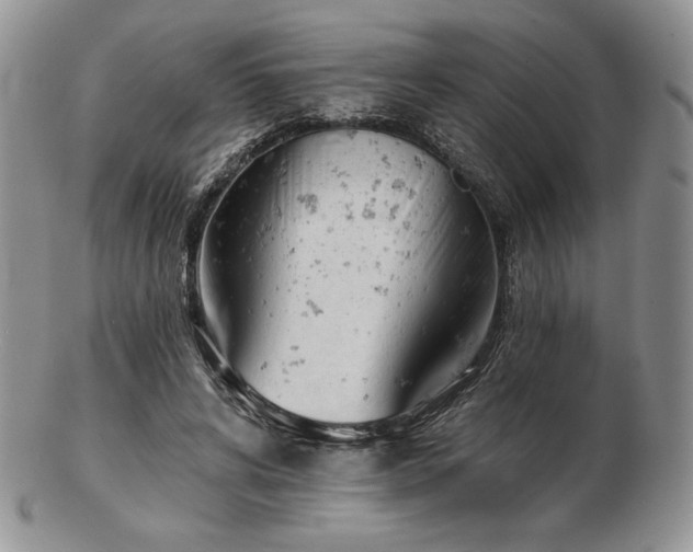 X0000102870592200808251243