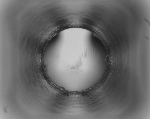 X0000102870593200808251243