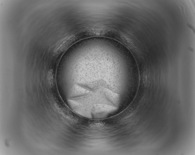 X0000102870594200808251243