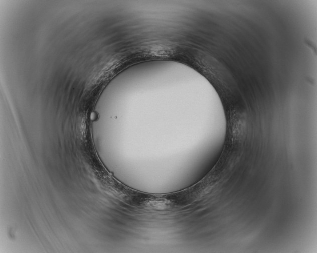 X0000102870595200808251243