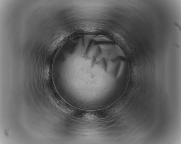 X0000102870596200808251243