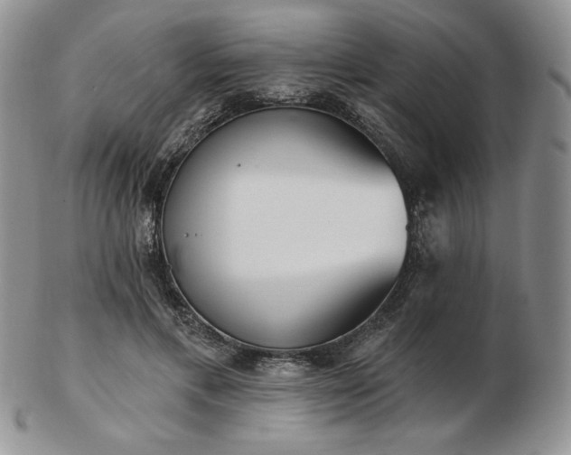 X0000102870597200808251243