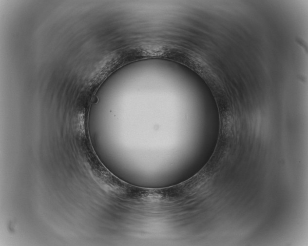 X0000102870598200808251243