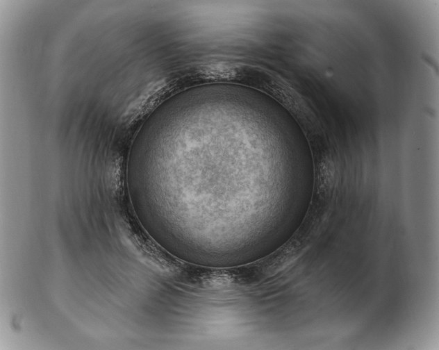 X0000102870600200808251243