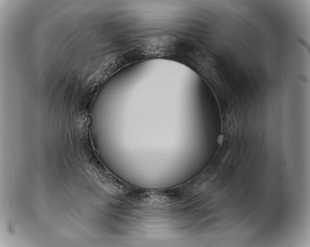 X0000102870601200808251243