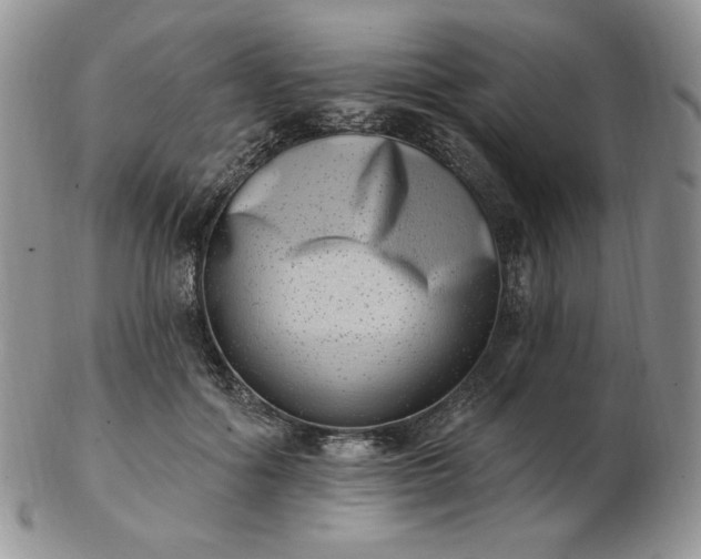 X0000102870602200808251243