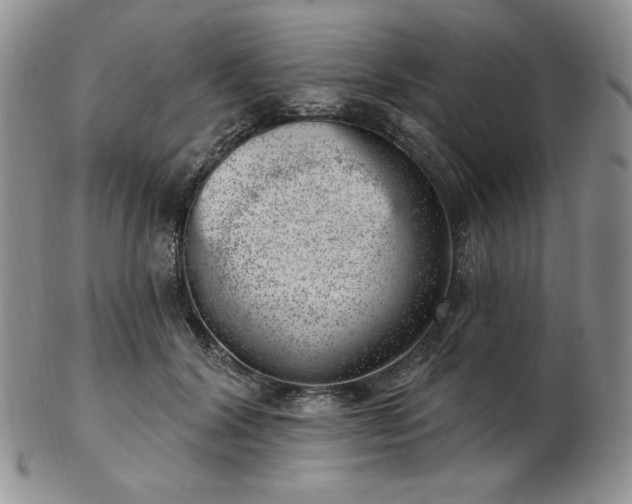 X0000102870604200808251243