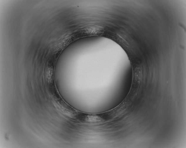 X0000102870605200808251243