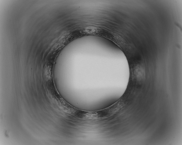 X0000102870606200808251243