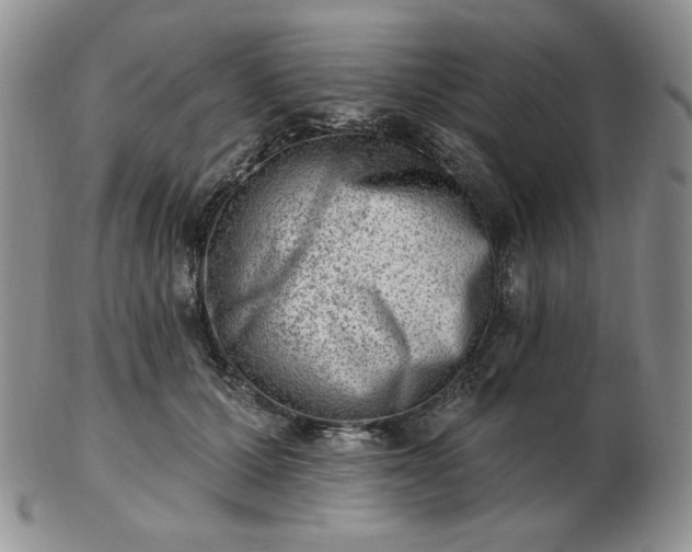 X0000102870607200808251243