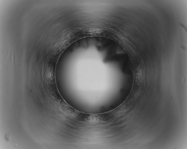 X0000102870608200808251243